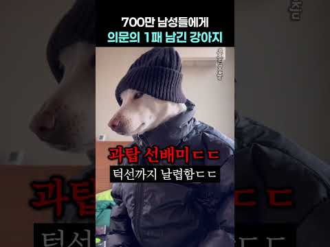700만 남성들에게 의문의 1패 남긴 강아지