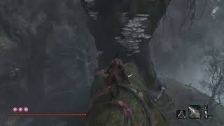 【SEKIRO】途中からだらだら