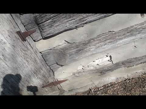 Pioneer cabin restoration interview