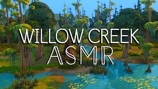 The Sims universe in Focusverse