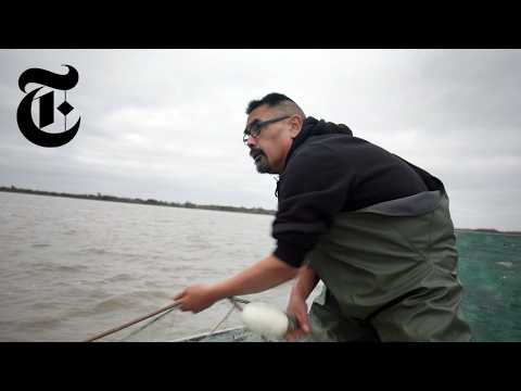 Why a Fight Over Fish Could Flip the Senate