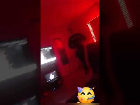 Siemanko Bejbo! #6 (wiadro w stolicy, najebany Adi, Menago nowy trapkról)