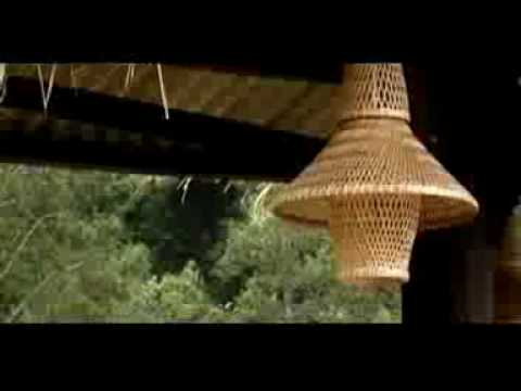 Insomnia Band TERBANG.3gp