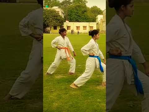 Shotokan Kata Heian Shodan!