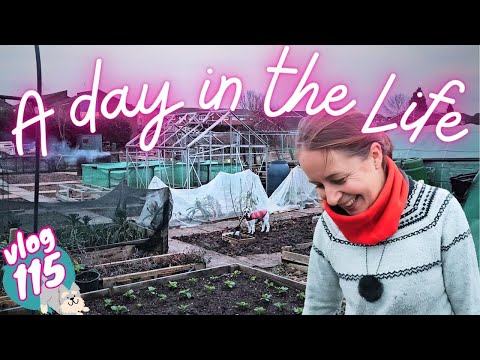 Ep115: February To Do List | UK Allotment & Garden Vlog
