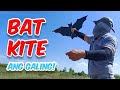 Bat Kite Tutorial and Test Fly | Kite Vlog #18