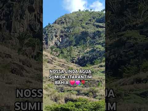 nossa linda água sumida Itarantim Bahia #nordeste #shots #floresta
