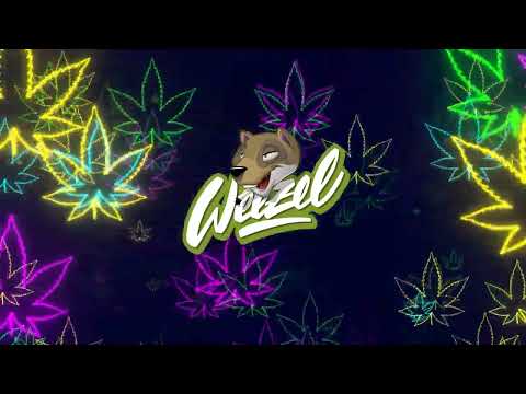 Inspecta - Egalisierung (prod. by Pieper Beats) #420