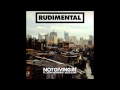 Not Giving In - Rudimental ft. John Newman & Alex ...