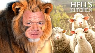 lion ramsay doesn't concern himself with the opinions of sheep | Full Episode | Hell's Kitchen