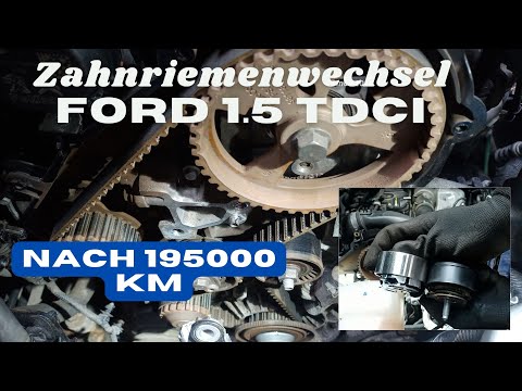 Zahnriemenwechsel Ford Focus 1.5 TDCI Bj.2016