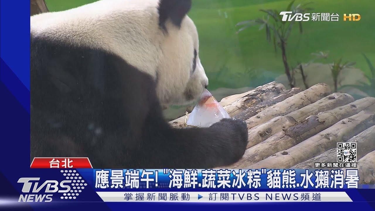 應景端午！　「海鮮、蔬菜冰粽」貓熊、水獺消暑