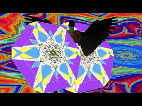 Day 49 SEARCH Alignment with Matias De Stefano