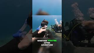 Cairns: Dive the Reef, Hike the Rainforest, Cruise into Adventure!