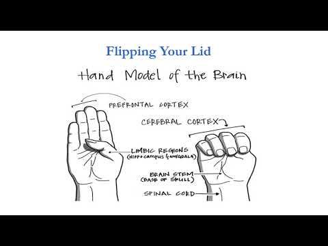 Flipping Your Lid & Getting Back in Control- The Connect