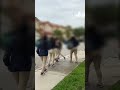 13 Year Old Girl Brutally Attacked By Other Students Near Middle School In Doral Florida