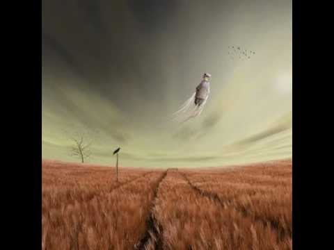 David Milutinović  - Prosvetljenje