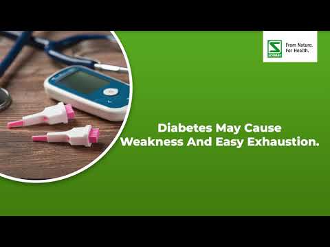 Schwabe homeopathy alfalfa tonic for diabetic 100 ml, for cl...