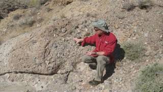 Download lagu Conglomerate mp3