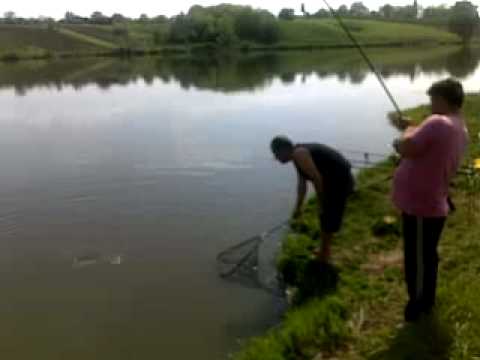 Primarul de la Calmatuiu la Moara Vlasiei.mp4