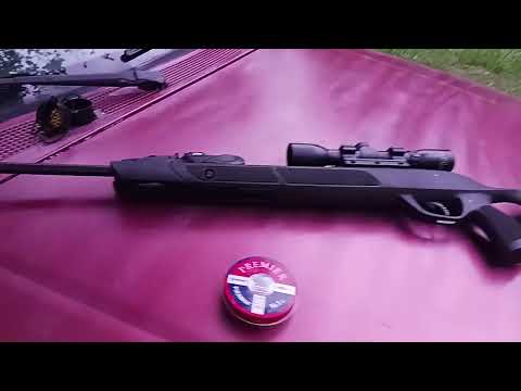 20 test shots after fixing the gamo swarm autoloader.