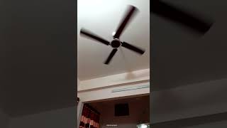 Conion Ceiling Fan Signature 56” 4 Blades (Brilliant Maroon)