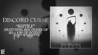 Discord Curse - 