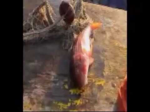 A pesca con Nato e Paolo