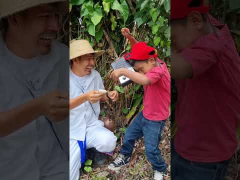 Don Juanito Don Juanito with drums and Jorjais🤣