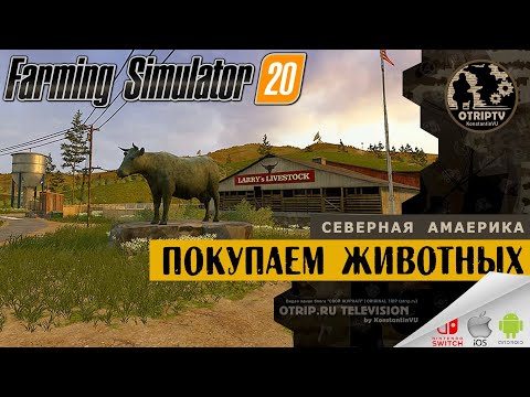 Farming Simulator 20 ● покупаем животных 🎬 первое молоко