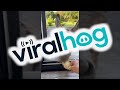 Donkey Comes to Have Breakfast at the Kitchen Window Every Morning || ViralHog