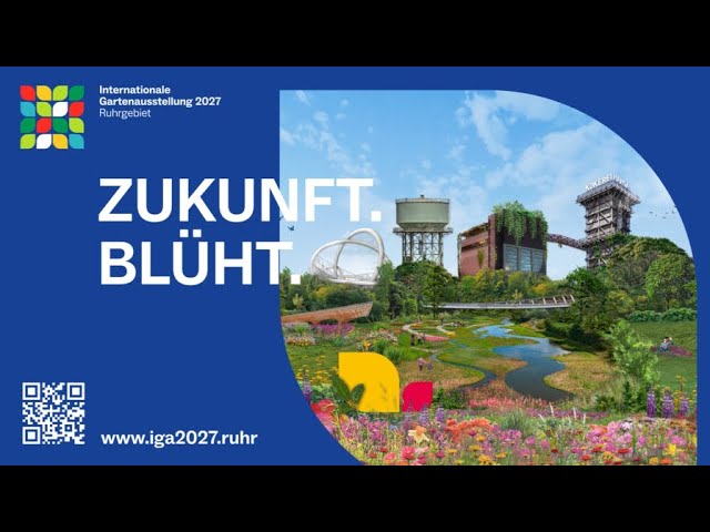 Reise-Video