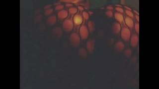 Pete Rock Ft Sticky Fingaz - Strange Fruit