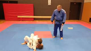 20241121 – Zkouška na bíložlutý pásek (Viacheslav Iordan, Stella Kazdová)