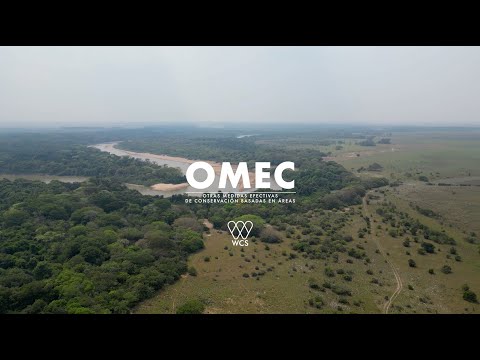 OMEC - Río Cravo Norte (Arauca) - Área clave para la conservación de la biodiversidad (KBA)