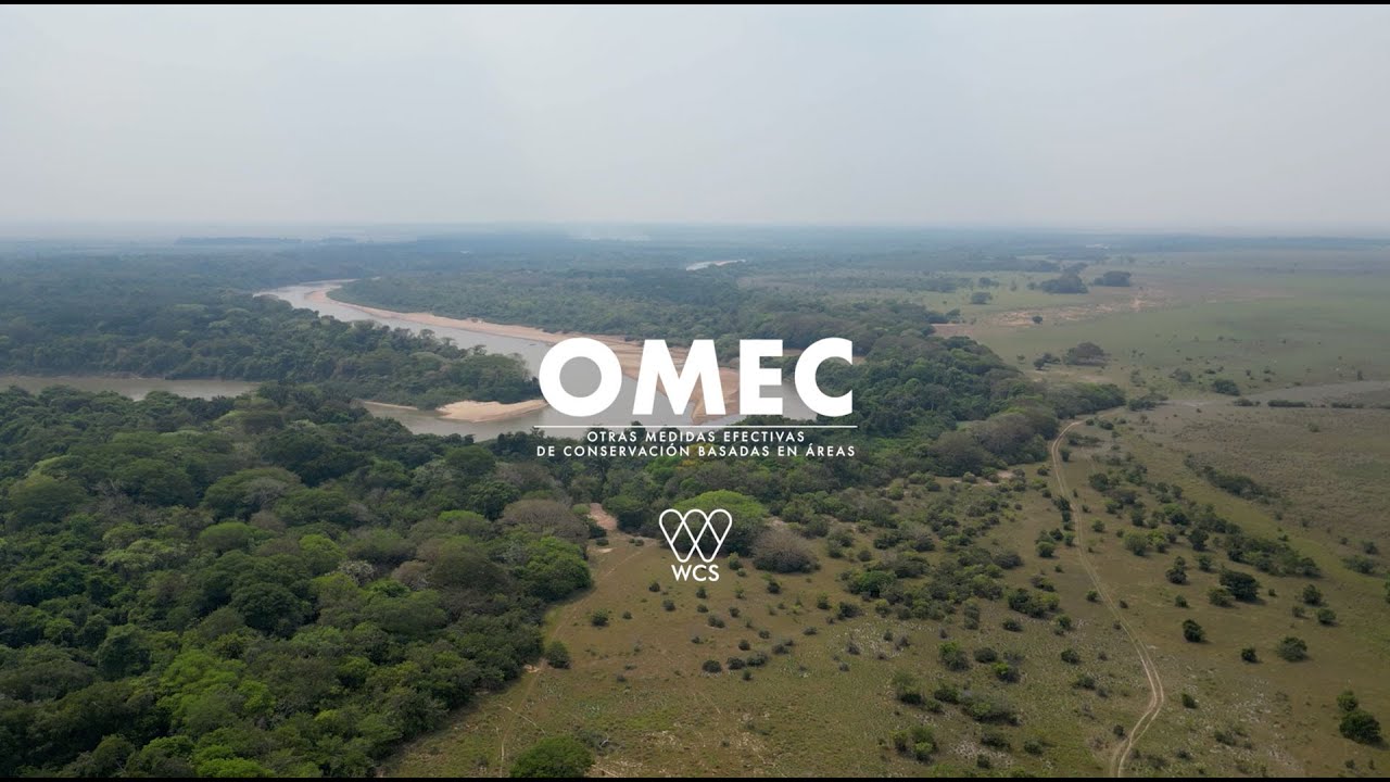 OMEC - Río Cravo Norte (Arauca) - Área clave para la conservación de la biodiversidad (KBA)