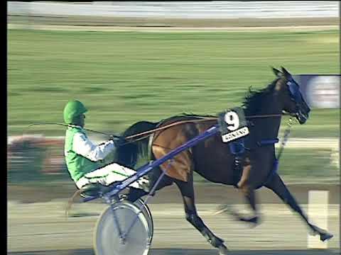 Trotto 22/09/2017 - 5ª corsa