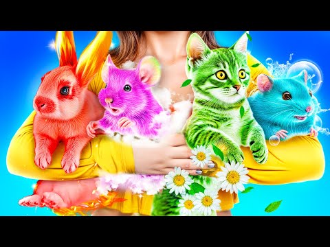 We Build Secret Rooms for 4 Elements Pets!