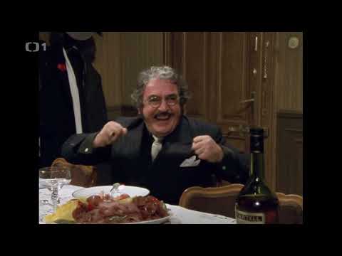 Pan Rada v Paříži