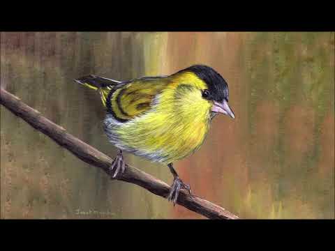 Zeisserln, Walzer, Op. 114 - Josef Strauss