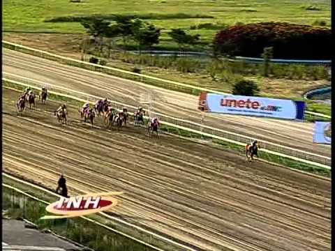 11va carrera sabado 31 de agosto 2013 GALA HIPICA DE CARACAS