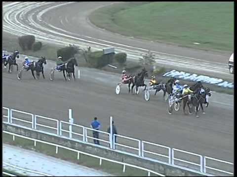 Trotto 02/11/2014 - 5° corsa