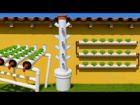 💧 How to Build a Hydroponic System at Home