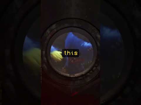 Does Huggy Wuggy Remember Us? #poppychapter4 #poppyplaytime #poppyplaytimechapter4 #poppyplaytime4