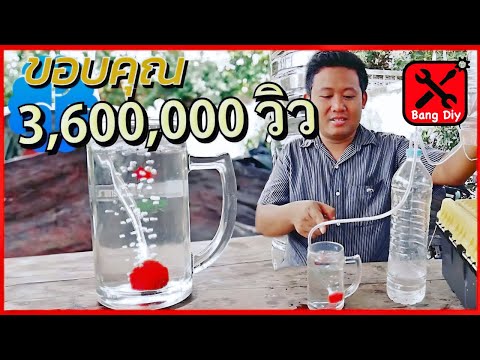 ไม่ว่าจะเป็นหน้าอก otvisnut กับรากฟันเทียม บนหน้าอกจะเห็นขอบของรากเทียม