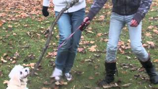 Tindras sång (a song about some special)