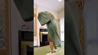 Japan Sakura Journey