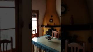 Video del alojamiento Monte Las Viñas