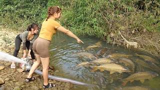 Fishing Videos: Fishing Technology, Unique Fishing, Survival Fishing - Harvesting Many Big Fish