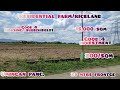 lot#145 residential farm/riceland 15,000 sqm 25mtrs frontge good 4 suvdivide lot/ umingan pang.